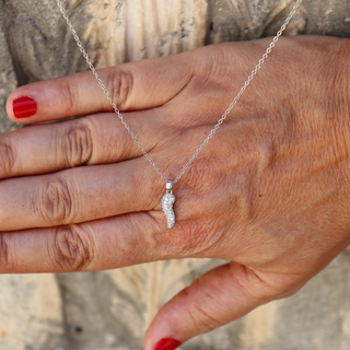 Colliers Femme Acier
