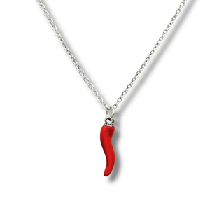 Silver Stainless Steel Chain Necklace – Horn Pendant | L’Iconica