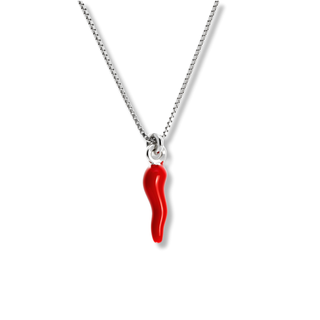 Silver Chain Necklace – Silver Horn Pendant | L'Iconica