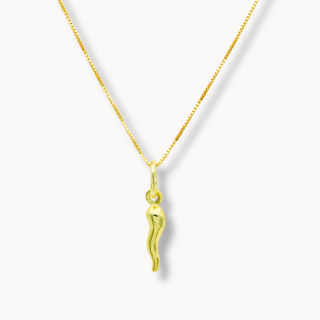 Collier Chaîne en Argent Doré – Pendentif Corne en argent | L’Iconica