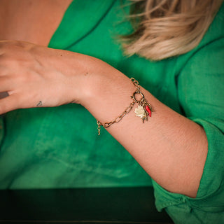 Steel Link Chain Bracelet, Horn, Mano Cornuto, Clover, Horseshoe | Vabbe