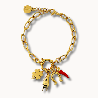 Steel Link Chain Bracelet, Horn, Mano Cornuto, Clover, Horseshoe | Vabbe