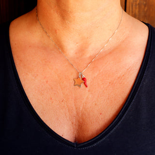 Sterling Silver Necklace – Horn & Star Chain | Fortuna