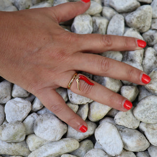Adjustable Steel Ring – Doppio Corno Pendant | L’Iconica