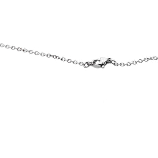 Silver Stainless Steel Chain Necklace – Horn Pendant | L’Iconica