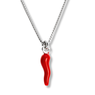 Silver Chain Necklace – Silver Horn Pendant | L'Iconica