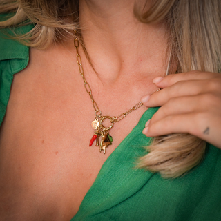 Necklace Steel Link Chain, Horn, Mano Cornuto, Clover, Horseshoe | Vabbe
