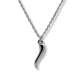 Silver Stainless Steel Chain Necklace – Horn Pendant | L’Iconica