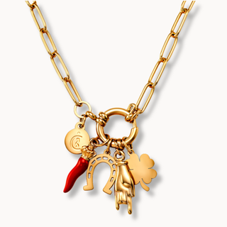 Necklace Steel Link Chain, Horn, Mano Cornuto, Clover, Horseshoe | Vabbe