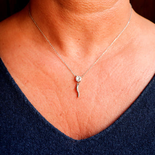 Silver Steel Chain Necklace – Horn & Solitaire Zircon | L'Iconica