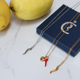 Silver Stainless Steel Chain Necklace – Horn Pendant | L’Iconica