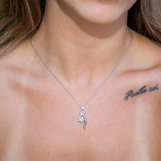 Steel Chain Necklace – Horn & Zircon Stars | L’Iconica