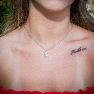 Silver Steel Necklace – Chain, Mano Cornuto & Embedded Zircon | Eleganza
