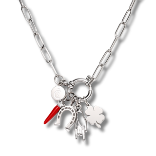 Necklace Steel Link Chain, Horn, Mano Cornuto, Clover, Horseshoe | Vabbe
