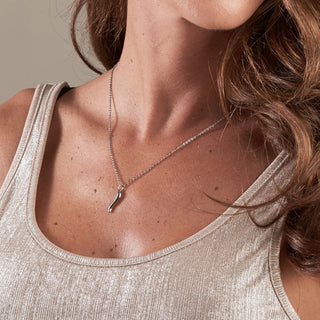 Silver Stainless Steel Chain Necklace – Horn Pendant | L’Iconica