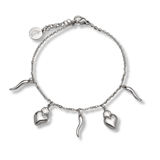 Stainless Steel Chain Bracelet – Horn & Sacred Heart | Vabbe