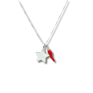 Sterling Silver Necklace – Horn & Star Chain | Fortuna